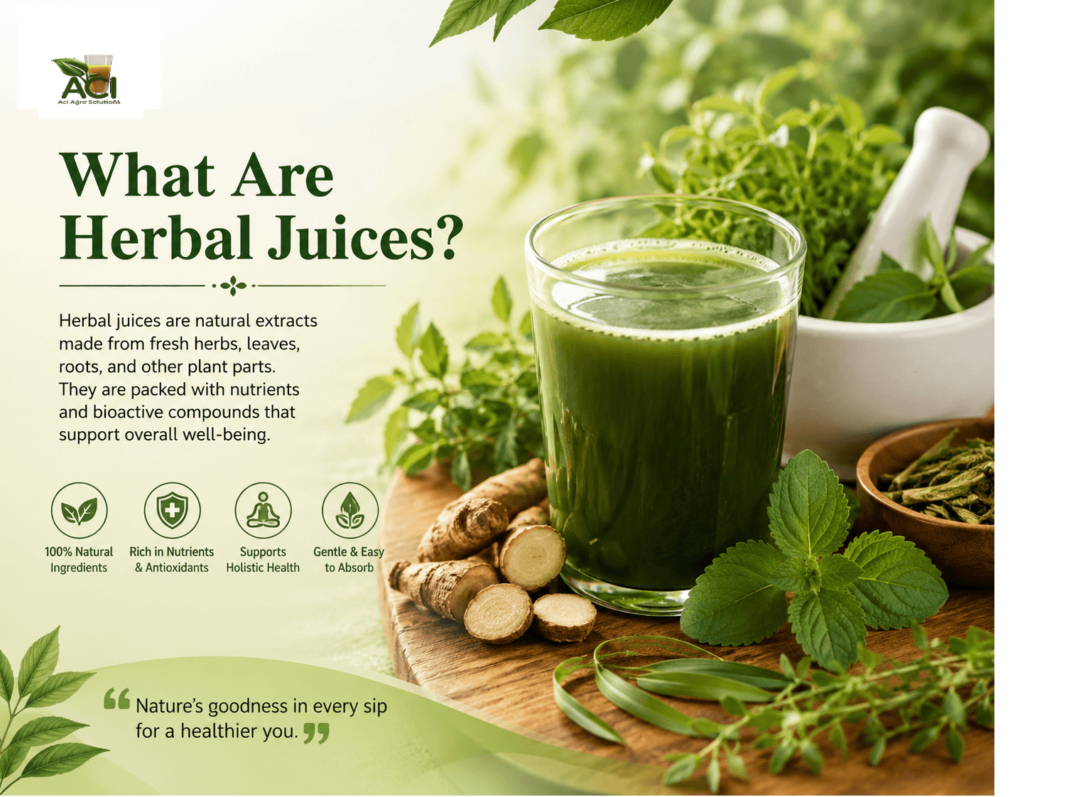 What Are Herbal Juices? A Simple Guide.